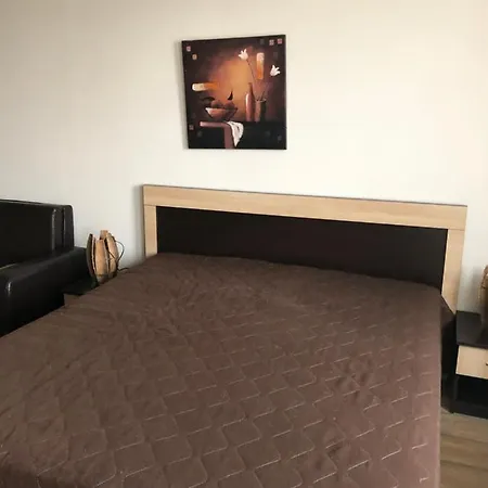 Alpine Bansko. Studio. 아파트